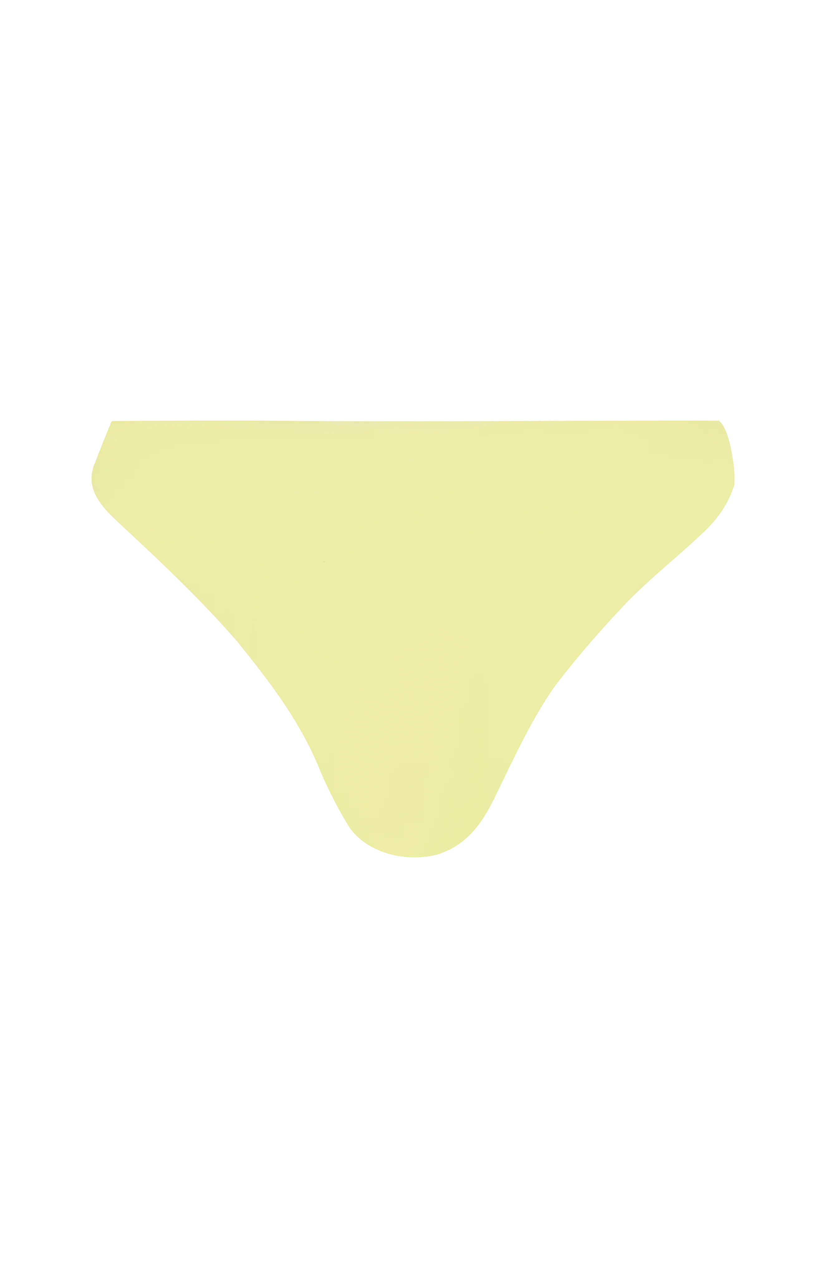 Faye Bikini Bottom - Vanilla - Image 6